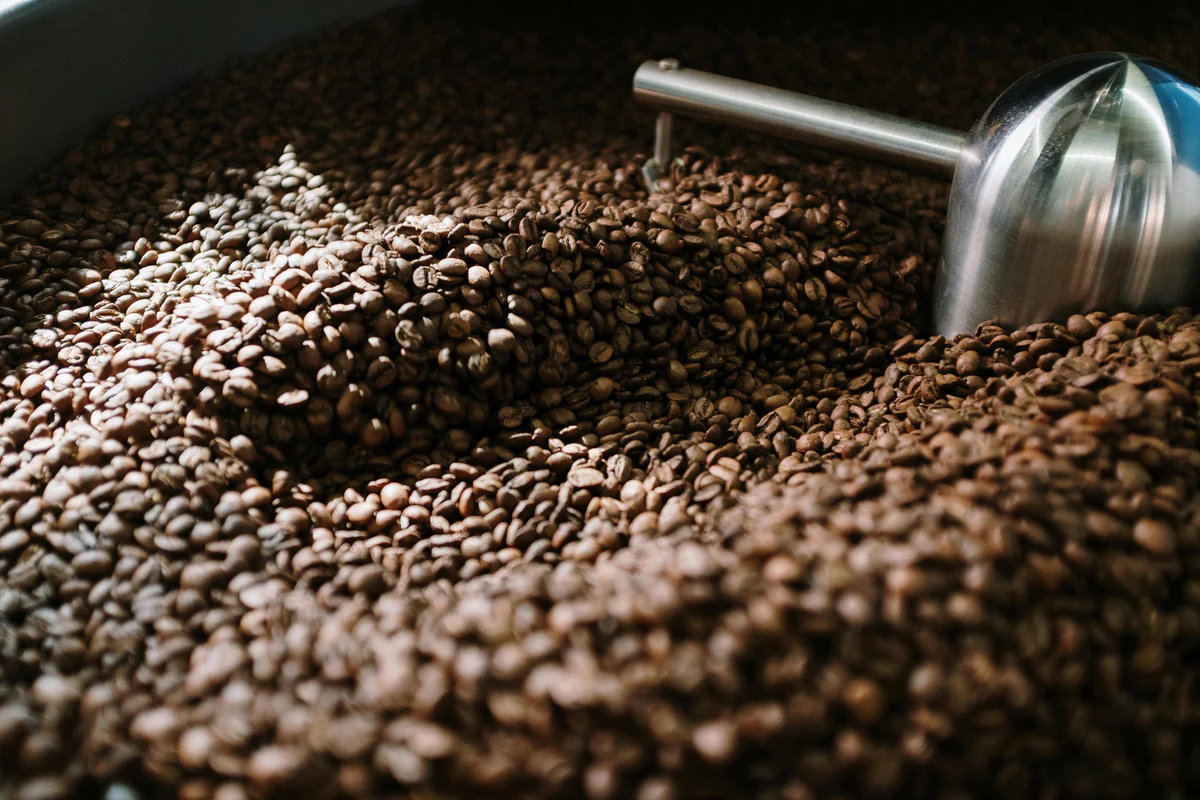 Cupping spoons and green coffee samples